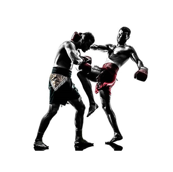 MMA Cuciture Extra per Un Sostegno Forte Ideale per Muay Thai Lavabile Boxe Kickboxing Supporto per Caviglia ALPHA FORCE 